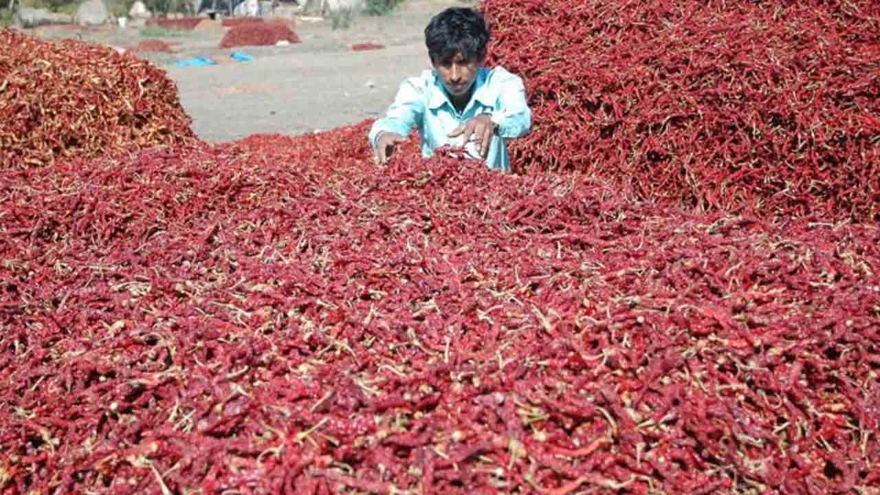 రెండో రోజూ 60 వేల మిర్చి బస్తాల రాక
