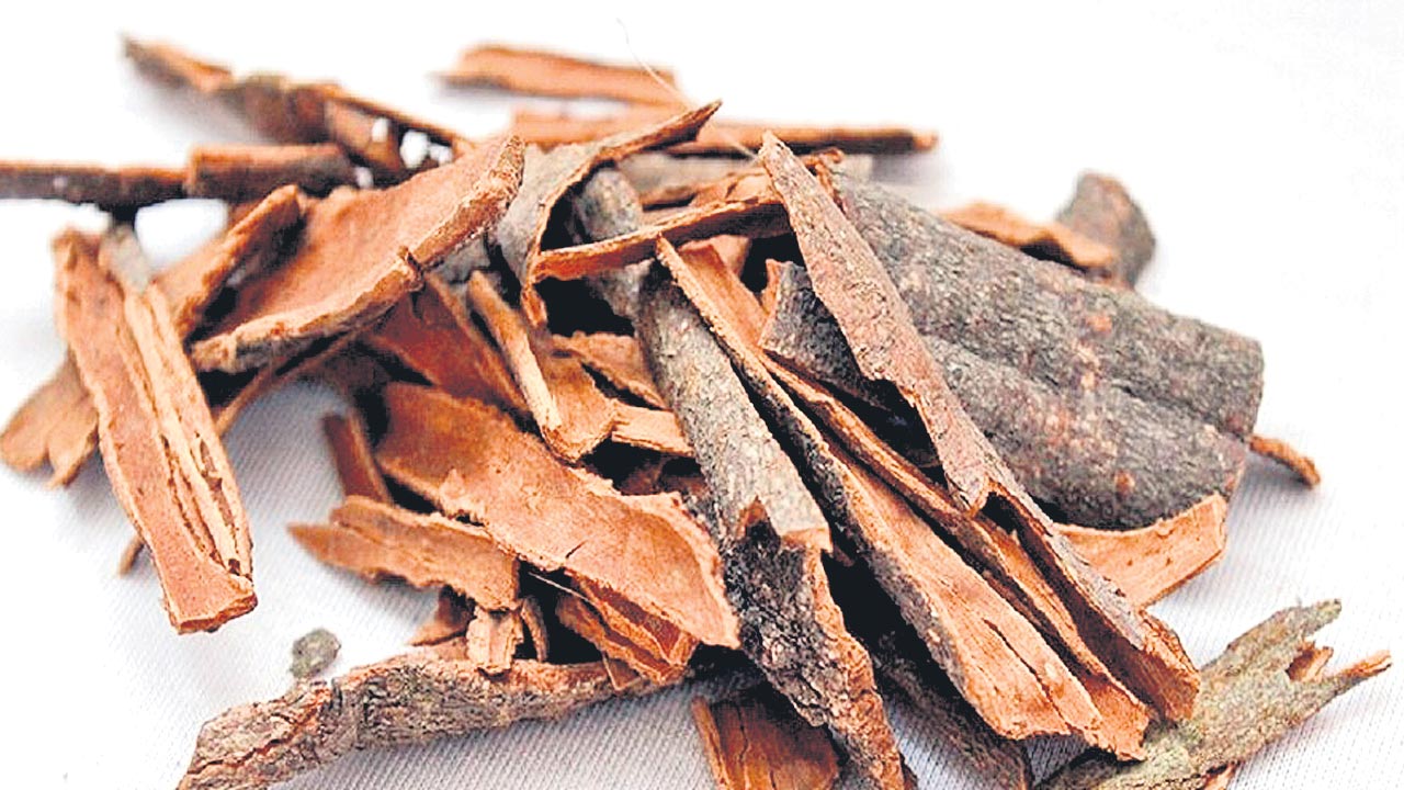 దాల్చినచెక్కలో క్యాన్సర్‌ నిరోధకాలు