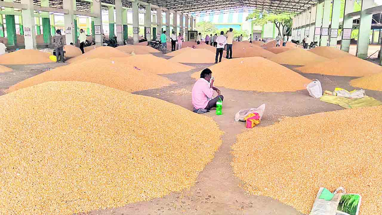 మక్క రైతులకు మద్దతు