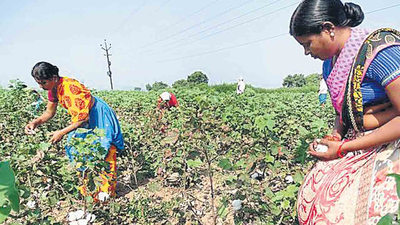 కూలీలకు స్వర్గధామంగా తెలంగాణ