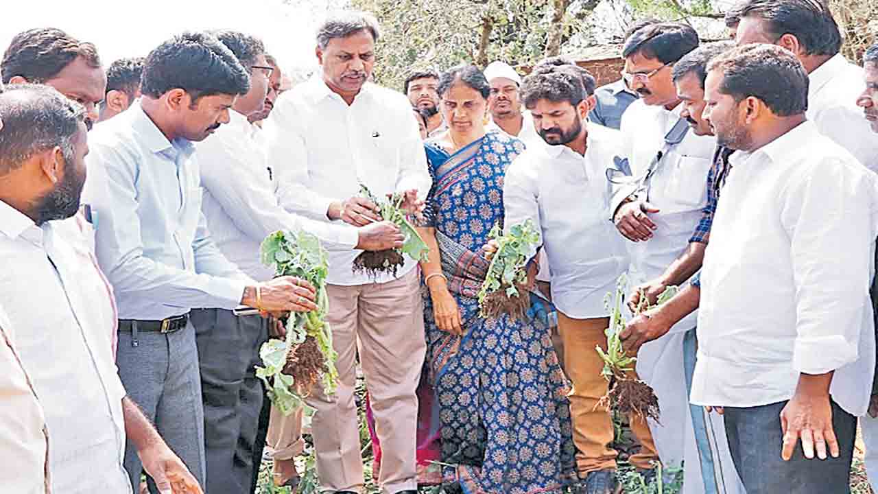 పరిహారం పైసలొచ్చినయ్