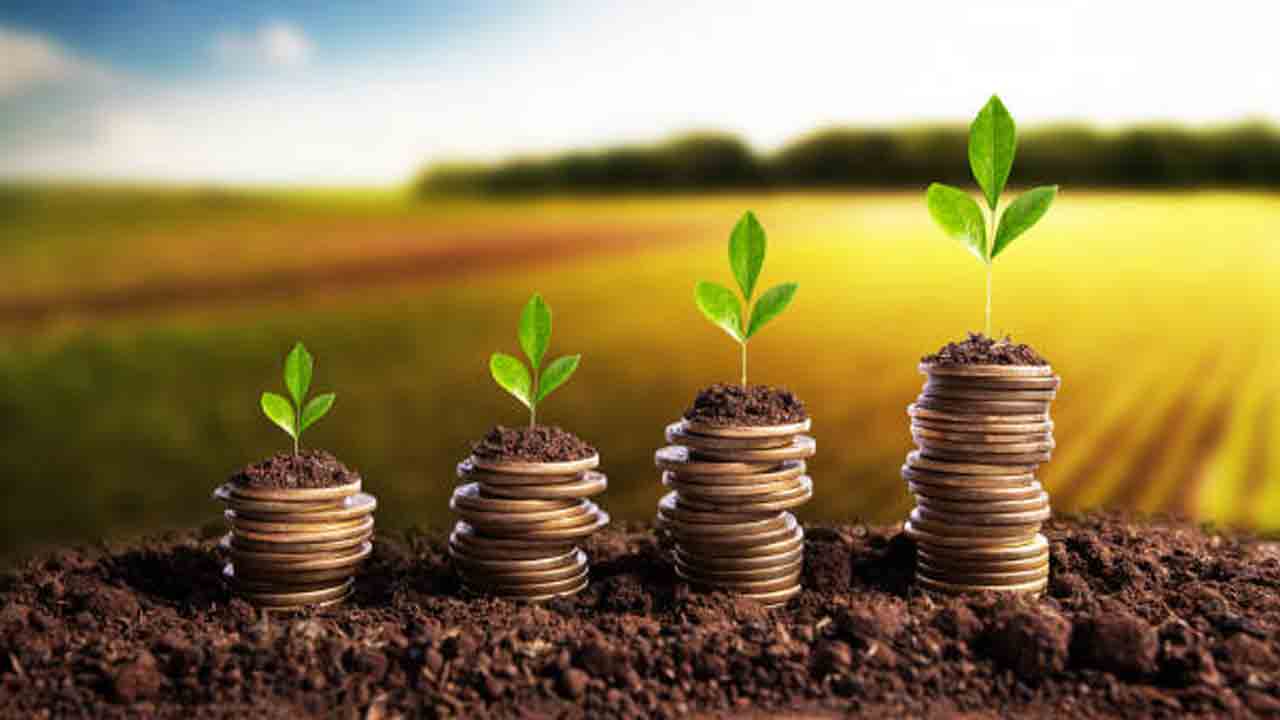 పంట రుణాలకు దరఖాస్తు చేసుకోండి