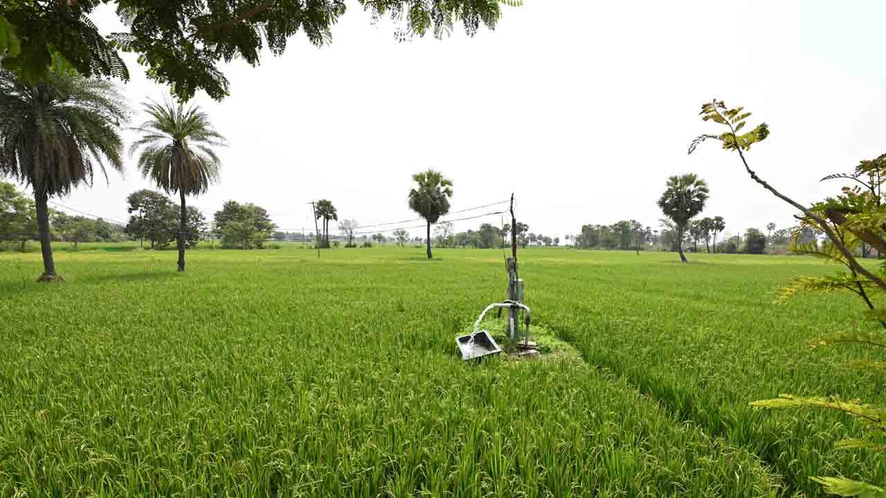 యాసంగి సాగు.. 13.48 లక్షల ఎకరాలు!