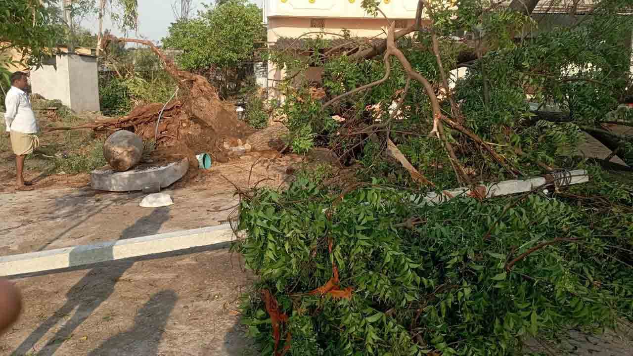 గాలి వాన బీభత్సం