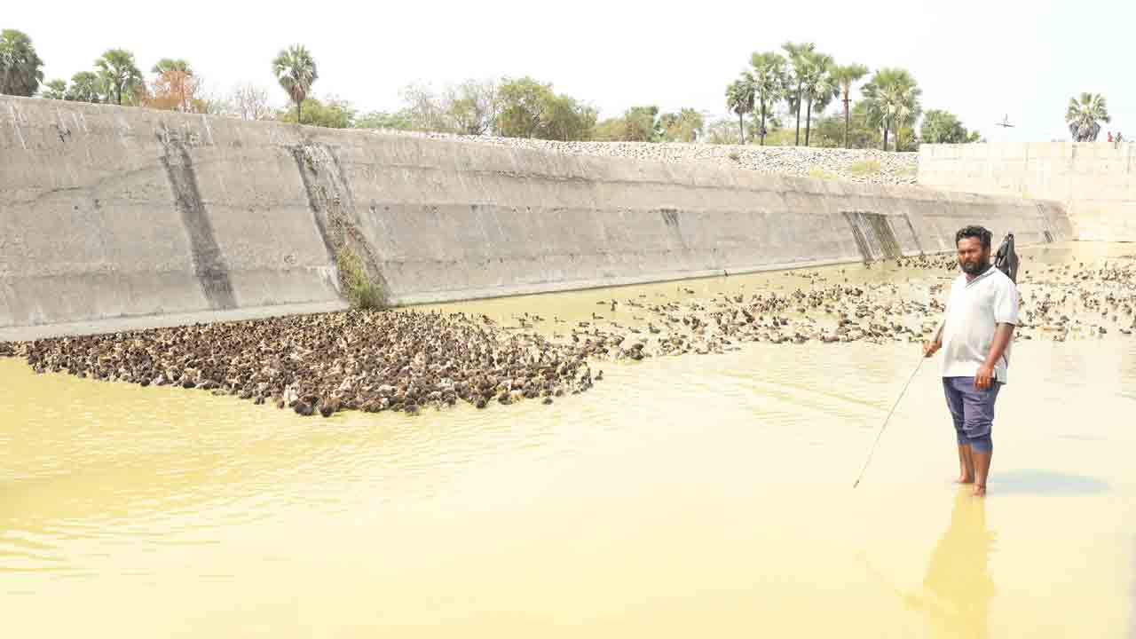 మానేరు తీరం.. బతుకుమార్గం