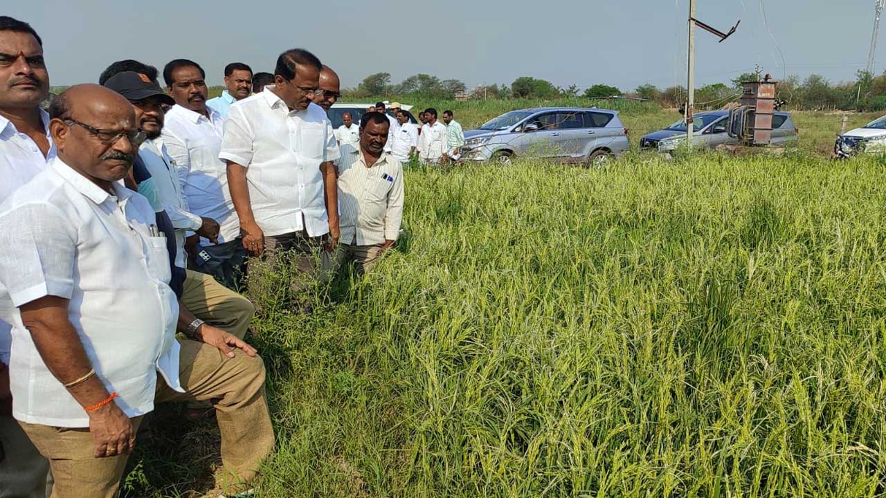 అన్నదాతకు అండగా ఉంటాం