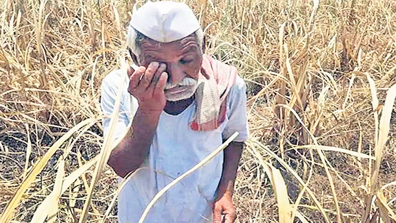 Maharashtra |  మహారాష్ట్రలో రేషన్‌కు బదులు నగదు బదిలీ పథకం.. సర్కారు నిర్ణయంపై సర్వత్రా ఆగ్రహం