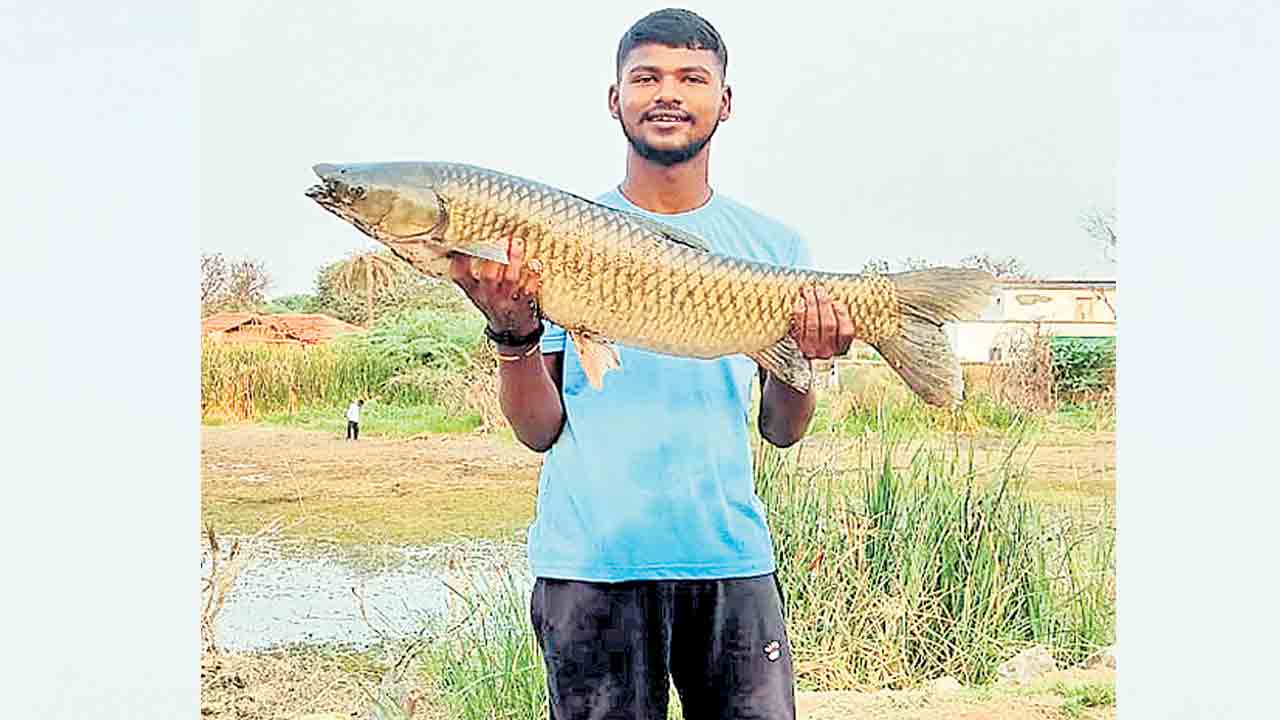 వావ్‌.. 20 కిలోల చేప