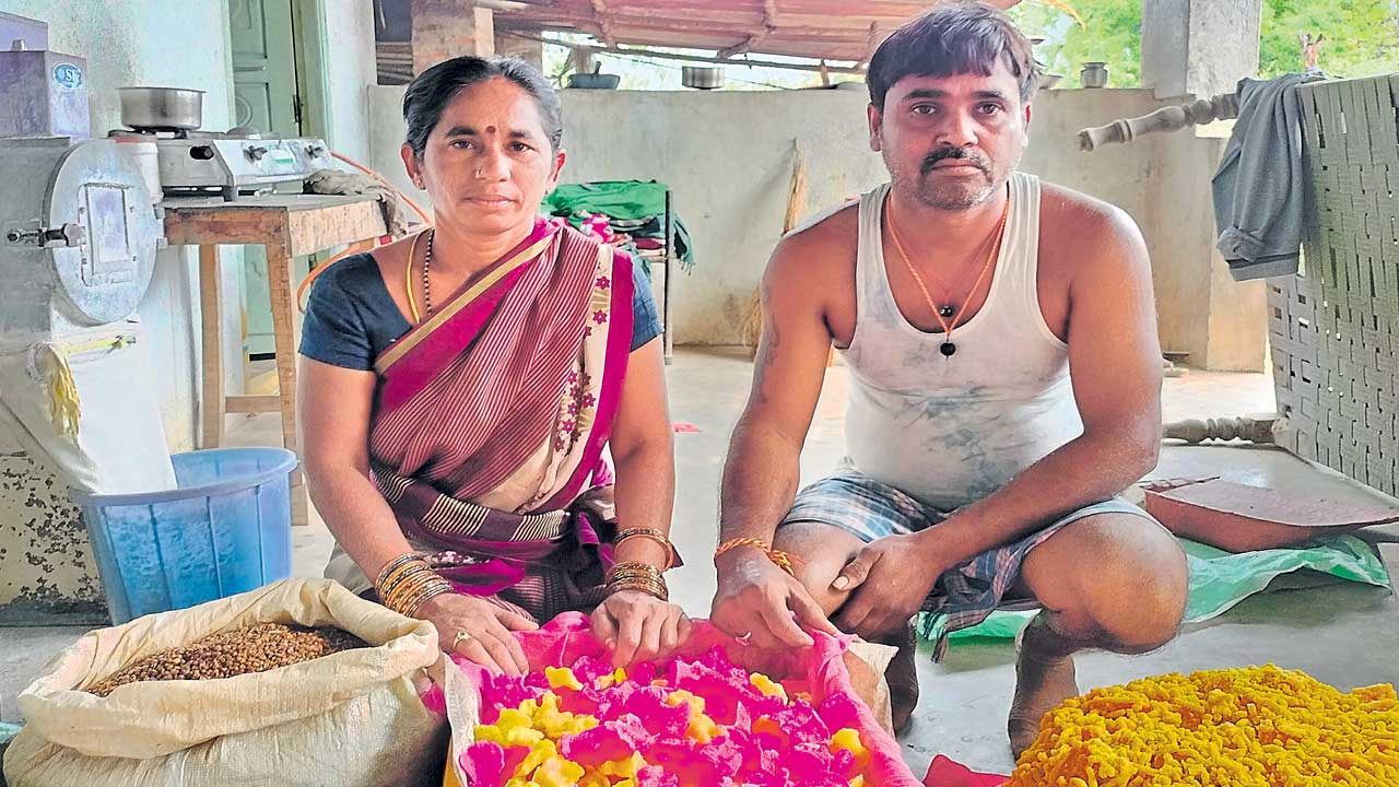 ఫుడ్‌ ప్రాసెసింగ్‌లో సూర్యాపేట మహిళలు