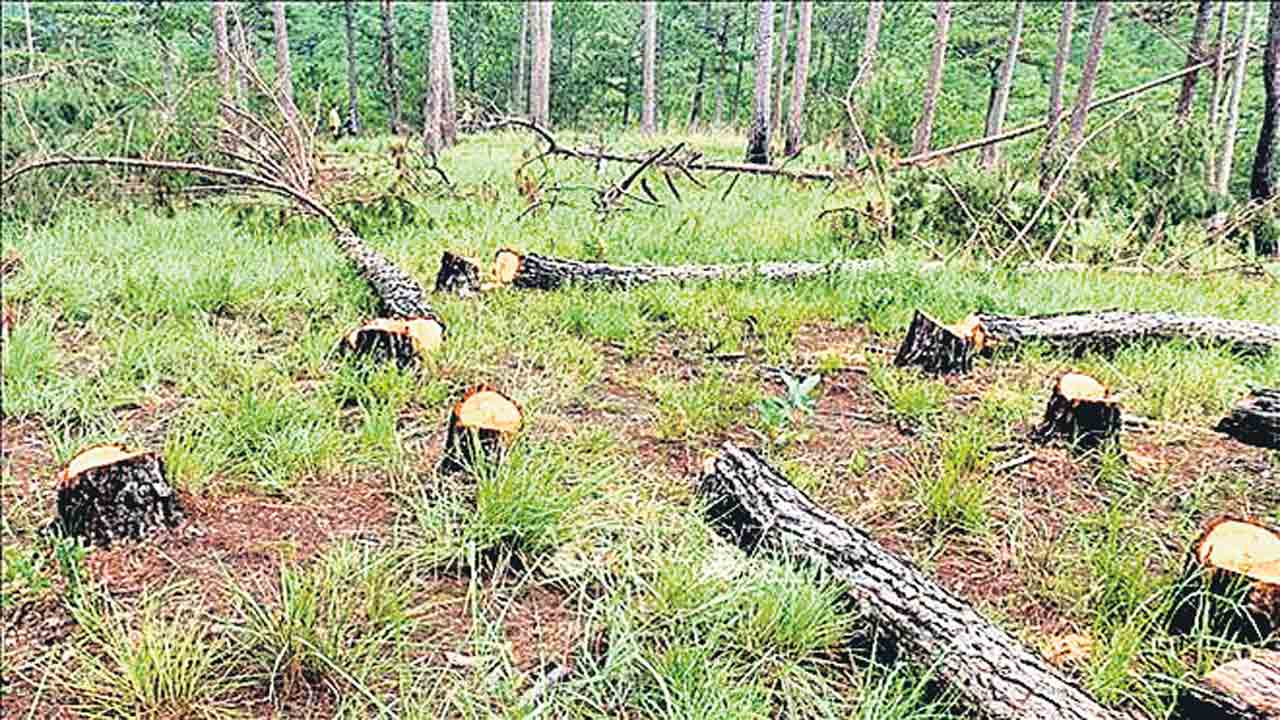 కొత్త బిల్లుతో అడవులకు ముప్పు!