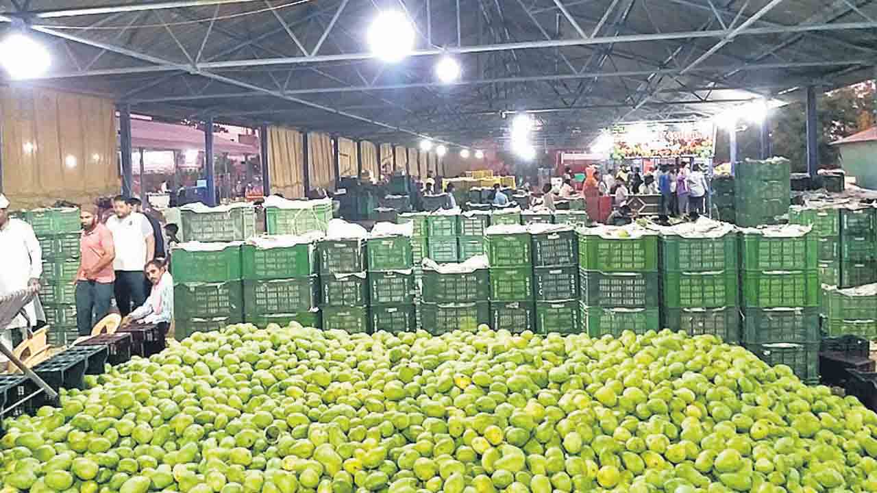 మామిడి కొనుగోళ్లకు రెడీ