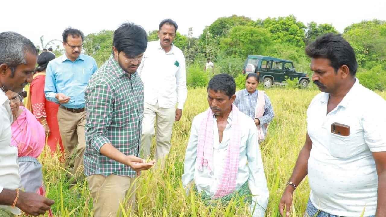 అన్నదాతకు అండగా.. వేగంగా పంట నష్టం అంచనా