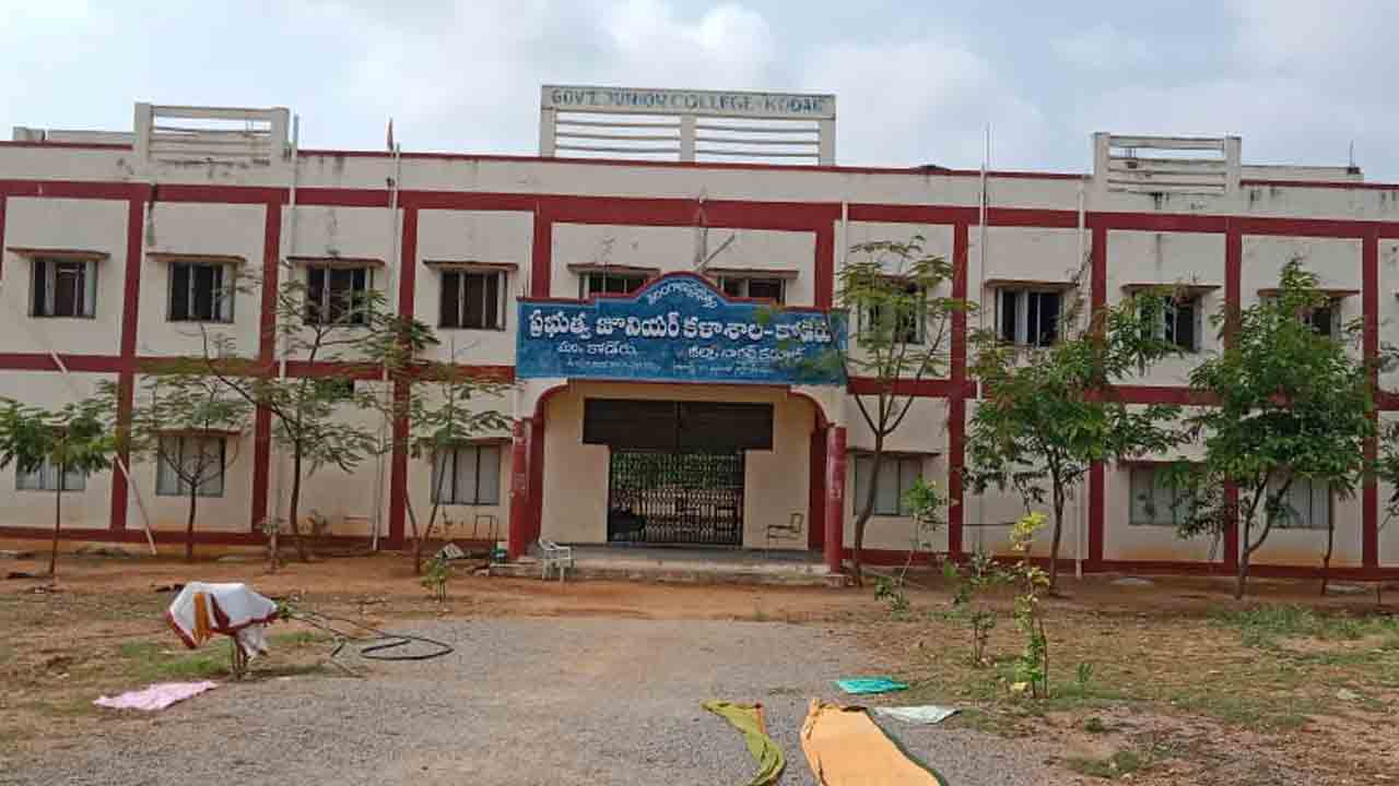 అభివృద్ధికి కేరాఫ్‌గా కొల్లాపూర్‌