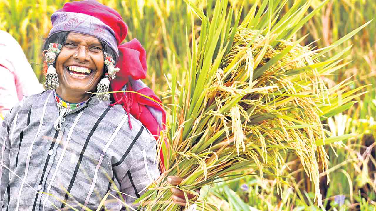 CM KCR | యాసంగి ధాన్యం కొనుగోలుపై సీఎం కేసీఆర్‌ ఆదేశాలు