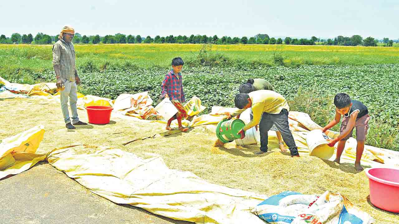 చిట్టి చేతుల ఆసరా