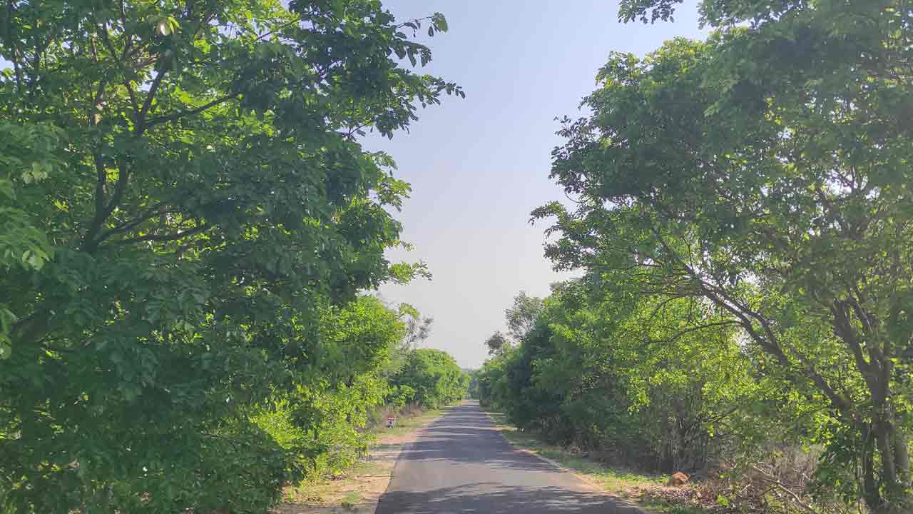 Haritha Haram