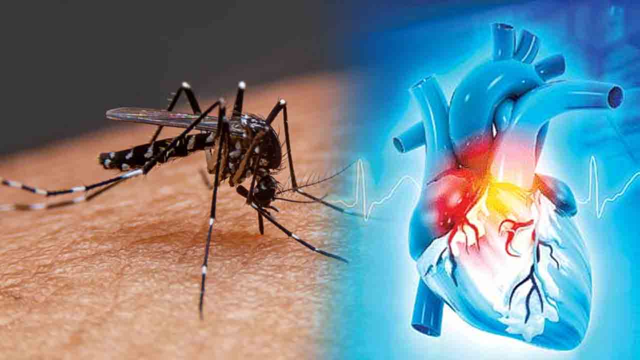 మలేరియాతో గుండె వైఫల్యం!