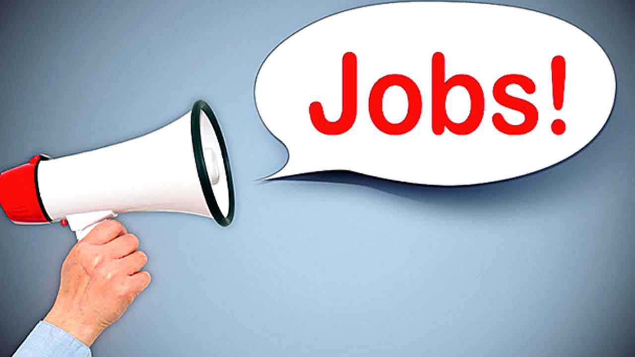 యాక్సెస్‌ మెడిటెక్‌లో ఉద్యోగాలు