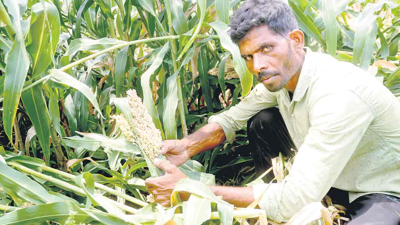 అకాల వర్షం.. అపార నష్టం