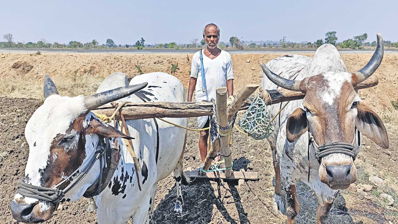 Karnataka Farmer