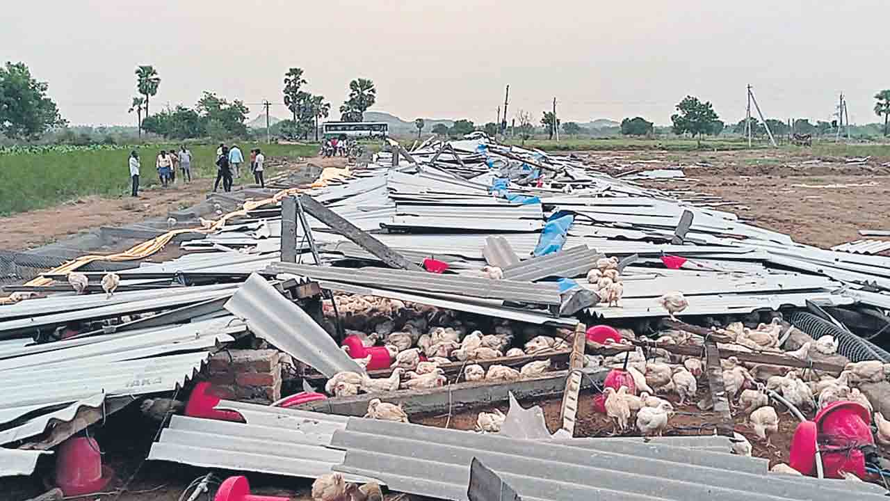 వడగండ్ల బీభత్సం