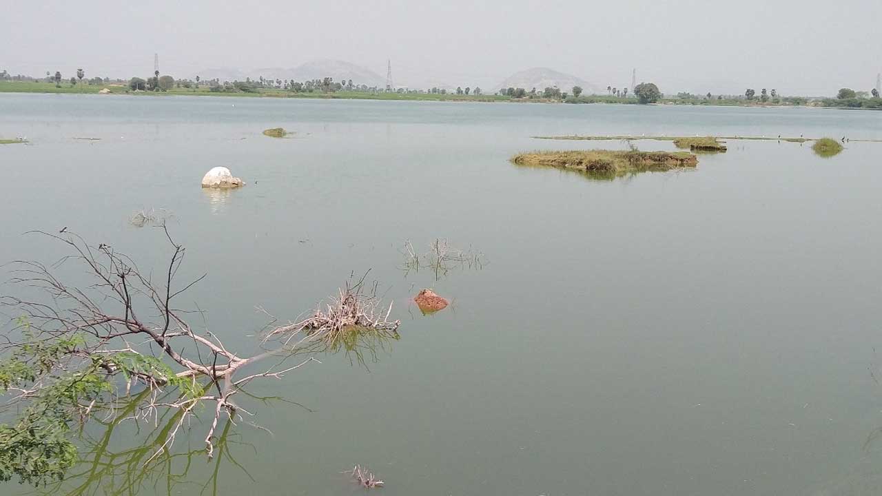 Mission Kakatiya |  మండు వేసవిలోనూ నిండుకుండలా చెరువులు.. ప్రజలకు తప్పిన తాగు, సాగునీటి కష్టాలు