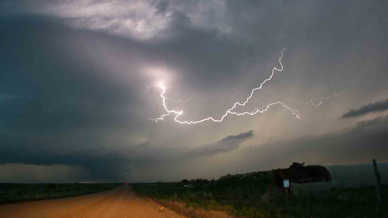 Rains | పలు జిల్లాలో వర్షం.. పిడుగుపాటుకు గీతకార్మికుడు మృతి