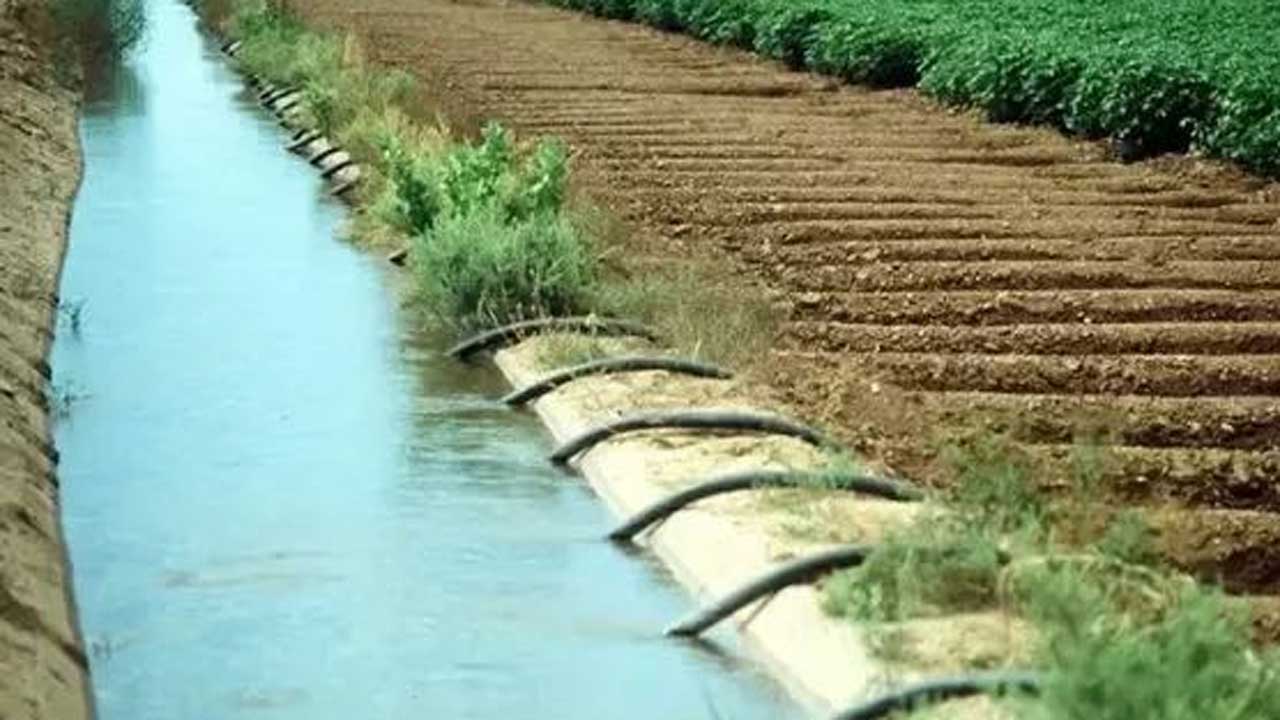 నేటి నుంచి ఎంజీకేఎల్‌ఐ సాగునీరు