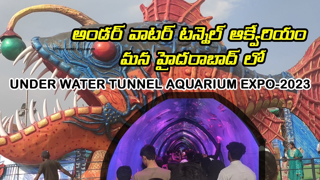 Tunnel Aquarium | ఆ చేప బరువు 60 కిలోలు, విలువ రూ.6 లక్షలు.. కూకట్‌పల్లిలోని టన్నెల్‌ అక్వేరియంకు పోటెత్తుతున్న జనం