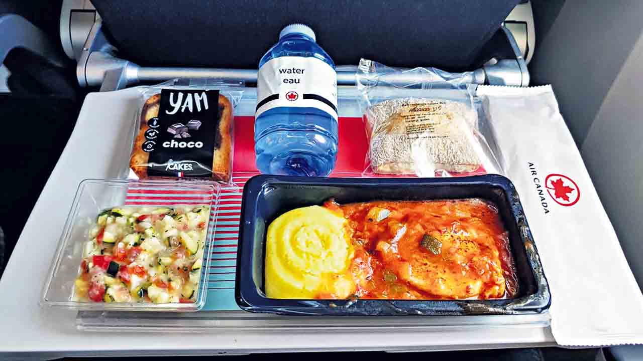 Meals In Flight3