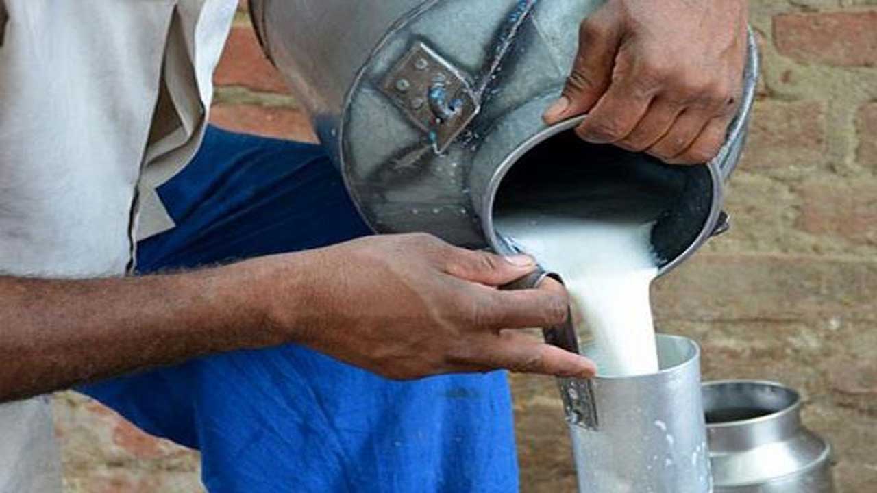 దేశంలో 4% పాలు కల్తీ