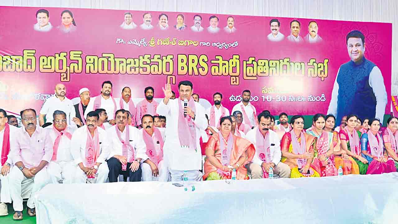 గల్లీలో.. ఢిల్లీలో.. గులాబీ జెండా ఎగరాలి