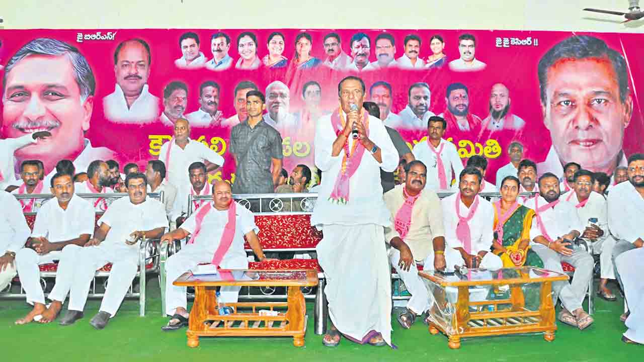 మంజీరా తీరం.. మరో కోనసీమ