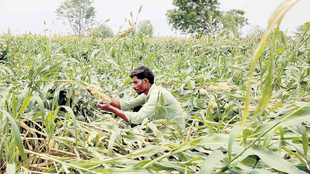 ఆశలపై నీళ్లు.. అకాల వర్షాలతో అన్నదాతలకు అపార నష్టం