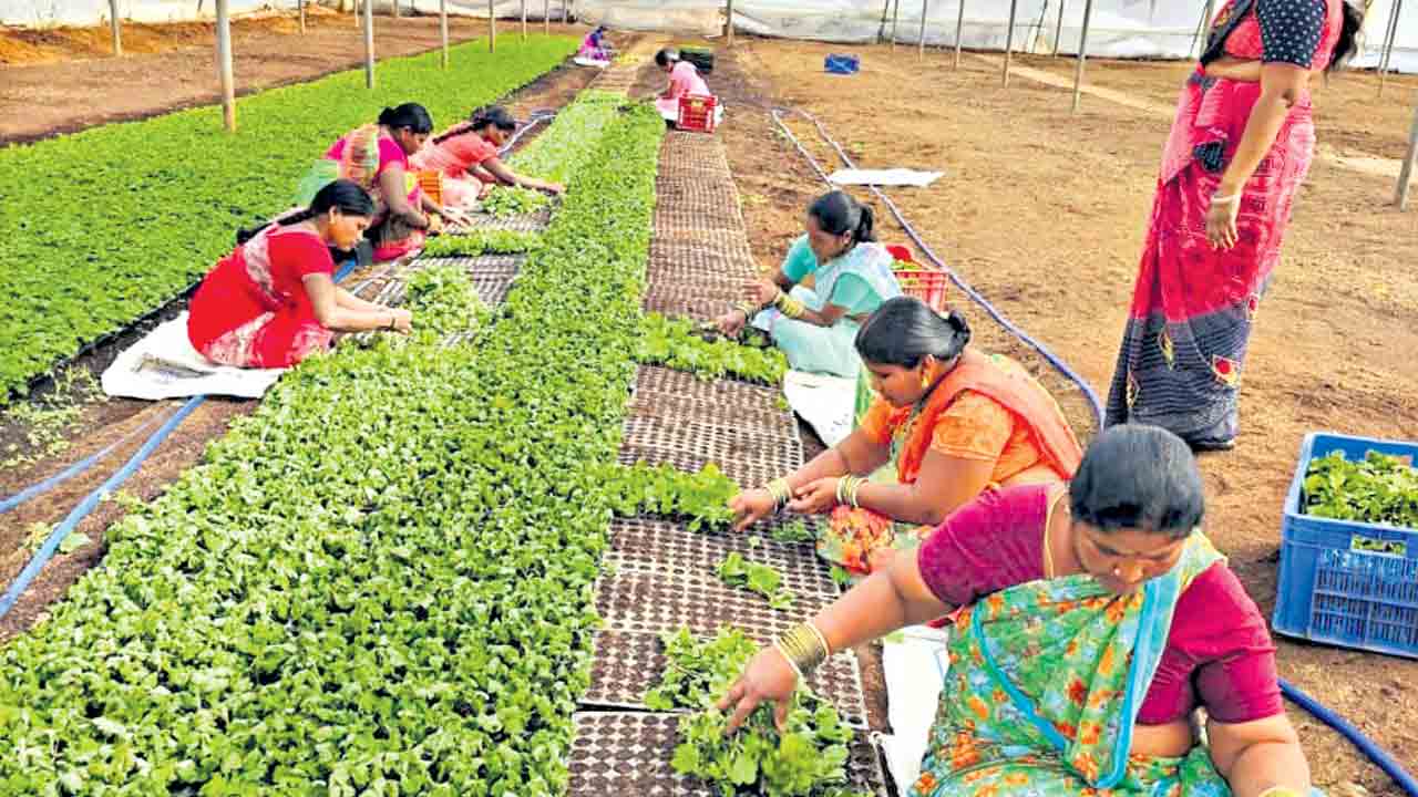 నెలకు రూ. లక్ష ఆదాయం