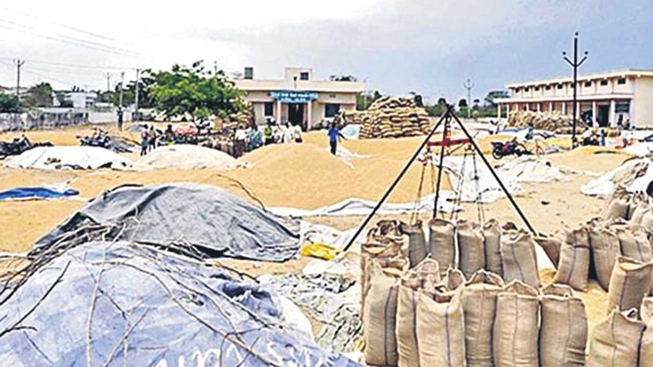 Paddy Procure | తరుగు తీస్తే కఠిన చర్యలు తప్పవు.. ఫిర్యాదులకు టోల్‌ఫ్రీ నెంబర్‌..