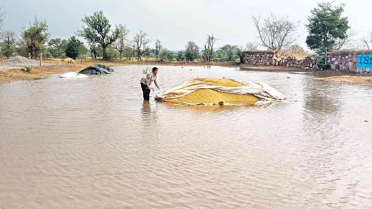 Unseasonal rains |  చెడగొట్టు వాన.. అన్నదాతను ఆగం జేసిన అకాల వర్షం.. వడగండ్లతో నేలరాలిన పంటలు
