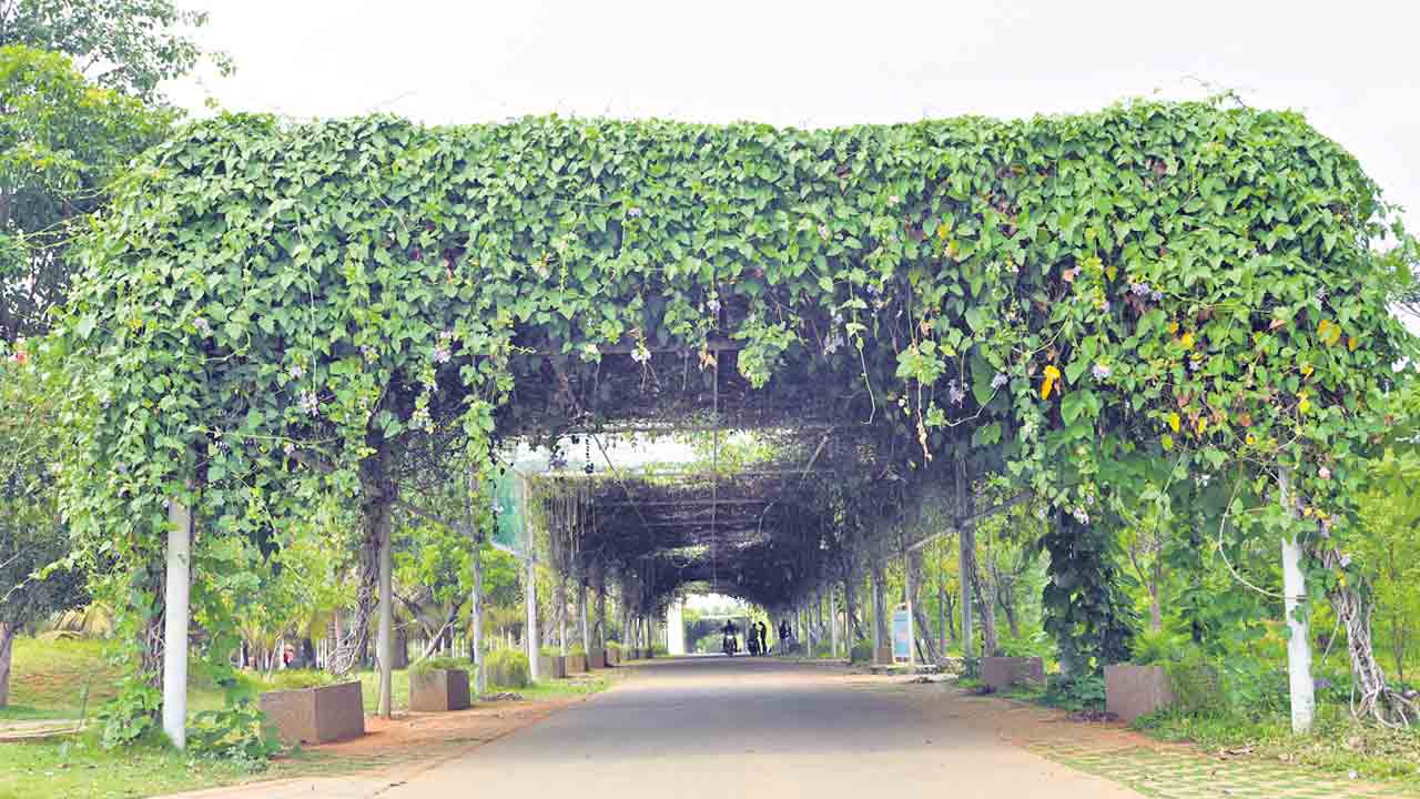 హరిత స్ఫూర్తికి దక్కిన గౌరవం