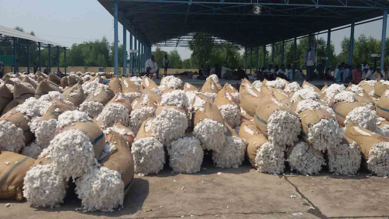 పత్తి రైతుపై కేంద్రం కత్తి