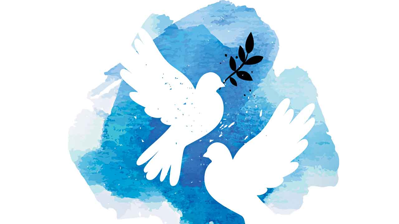 పావురాలు