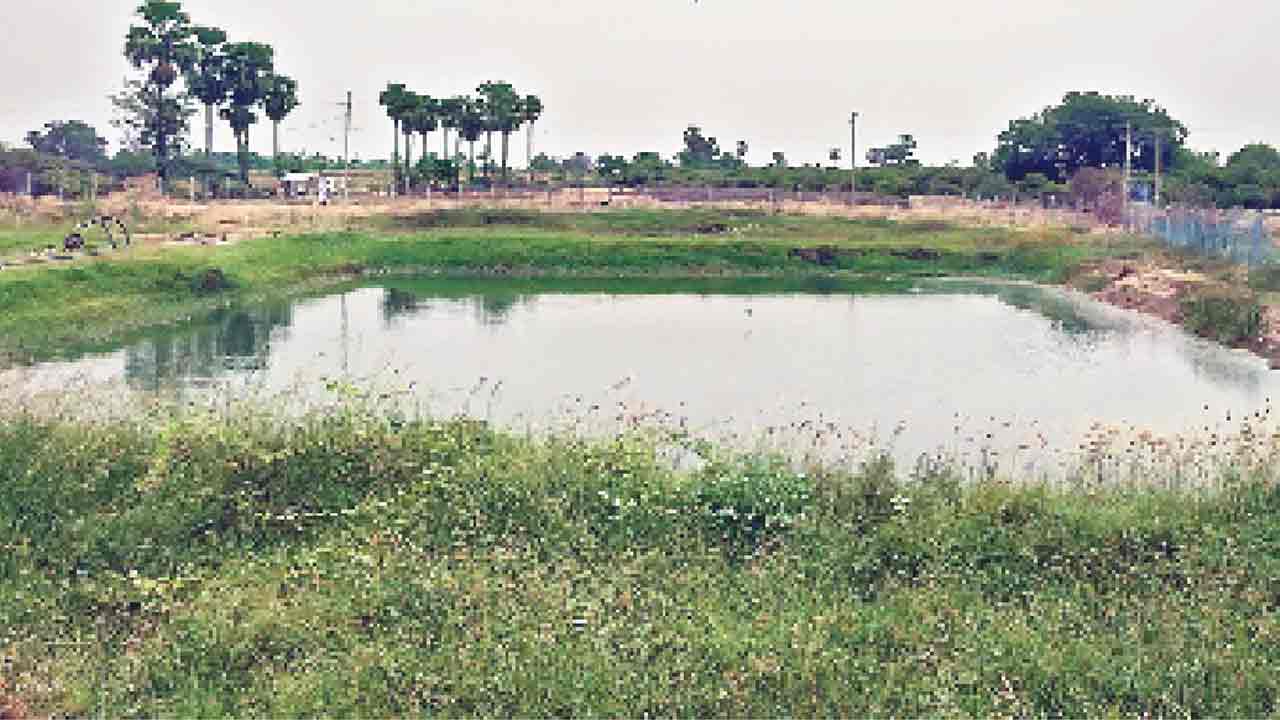 చేపల పెంపకంపై ఆసక్తిఉపాధి హామీ