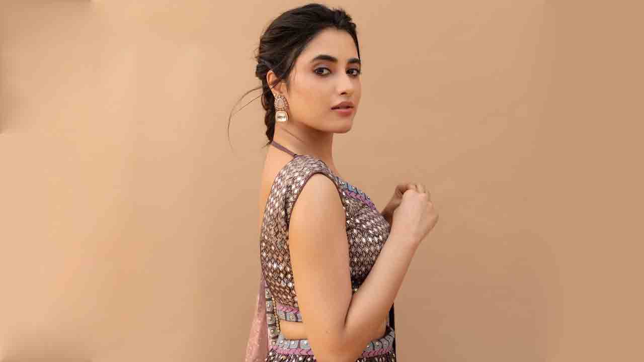 Priyanka Arul Mohan | ప్రియాంకకు బంపర్‌ ఆఫర్‌.. పవర్‌ స్టార్‌ సినిమాలో ఛాన్స్‌?