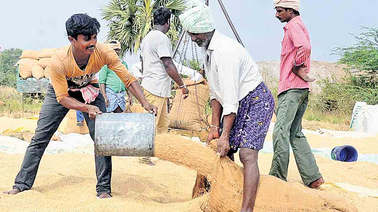 మ‌క్క‌ల‌కు మ‌ద్ద‌తు