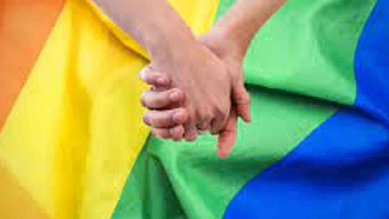 స్వలింగ వివాహాలకు మేం వ్యతిరేకం: బీసీఐ