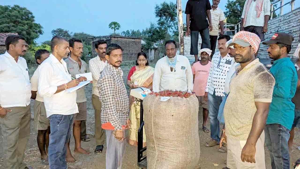 కల్లం వద్దే మిర్చి కాంటా