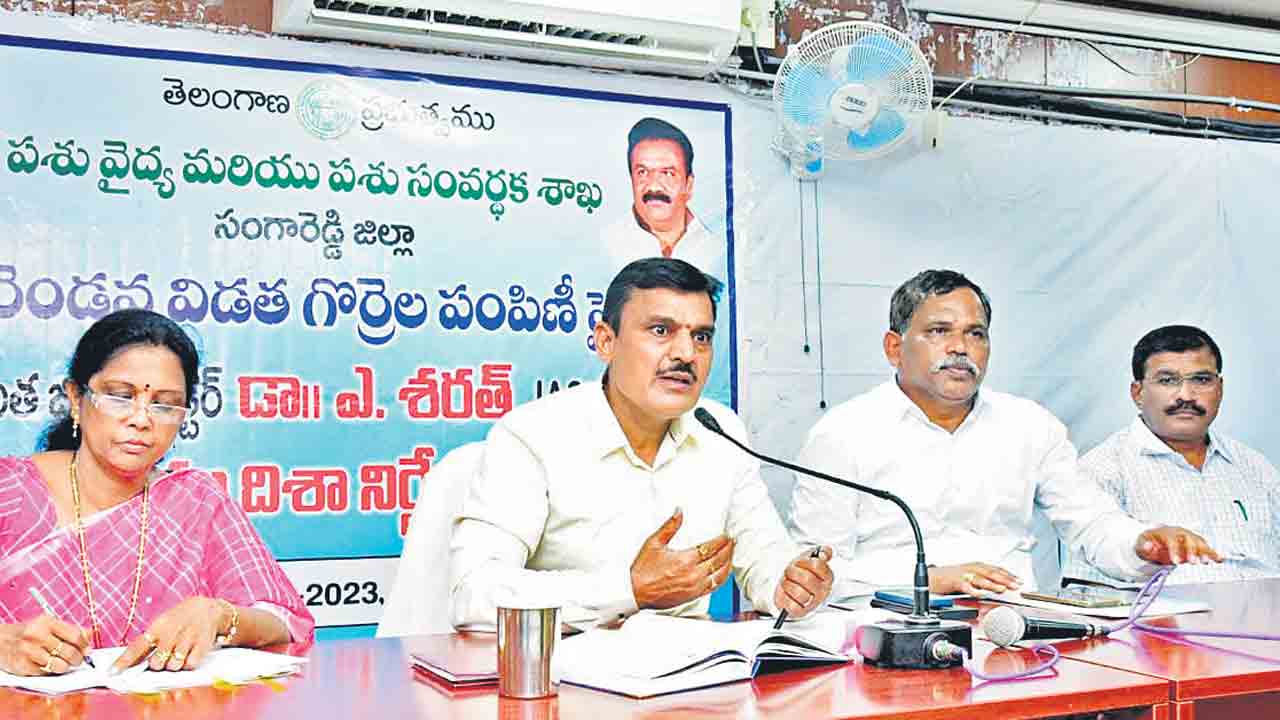 గొర్రెల పంపిణీ పకడ్బందీగా చేపట్టాలి