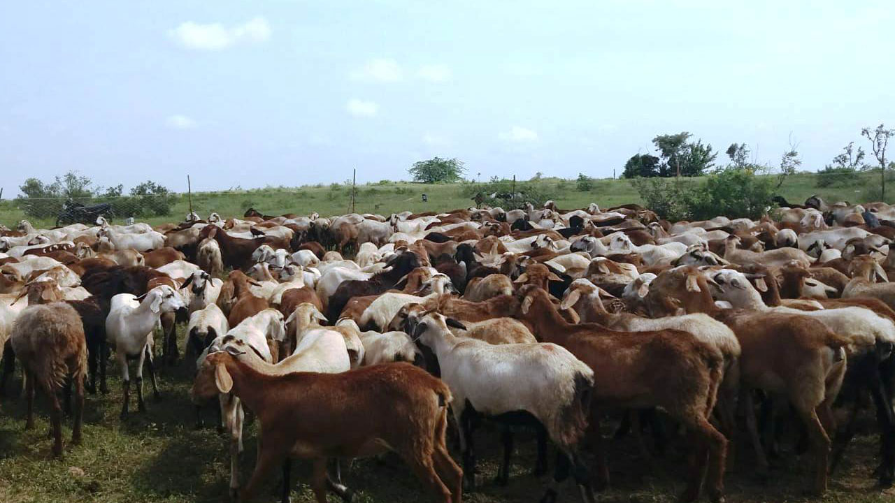 రెండో విడుత షురూ!