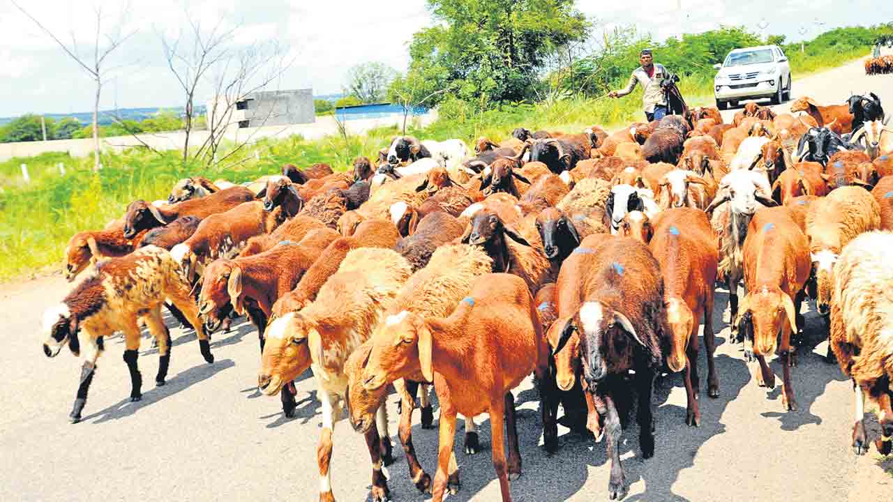 రెండో విడుతకు సన్నద్ధం..