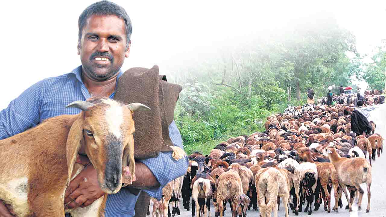 ఎలమంద.. మురవంగా..