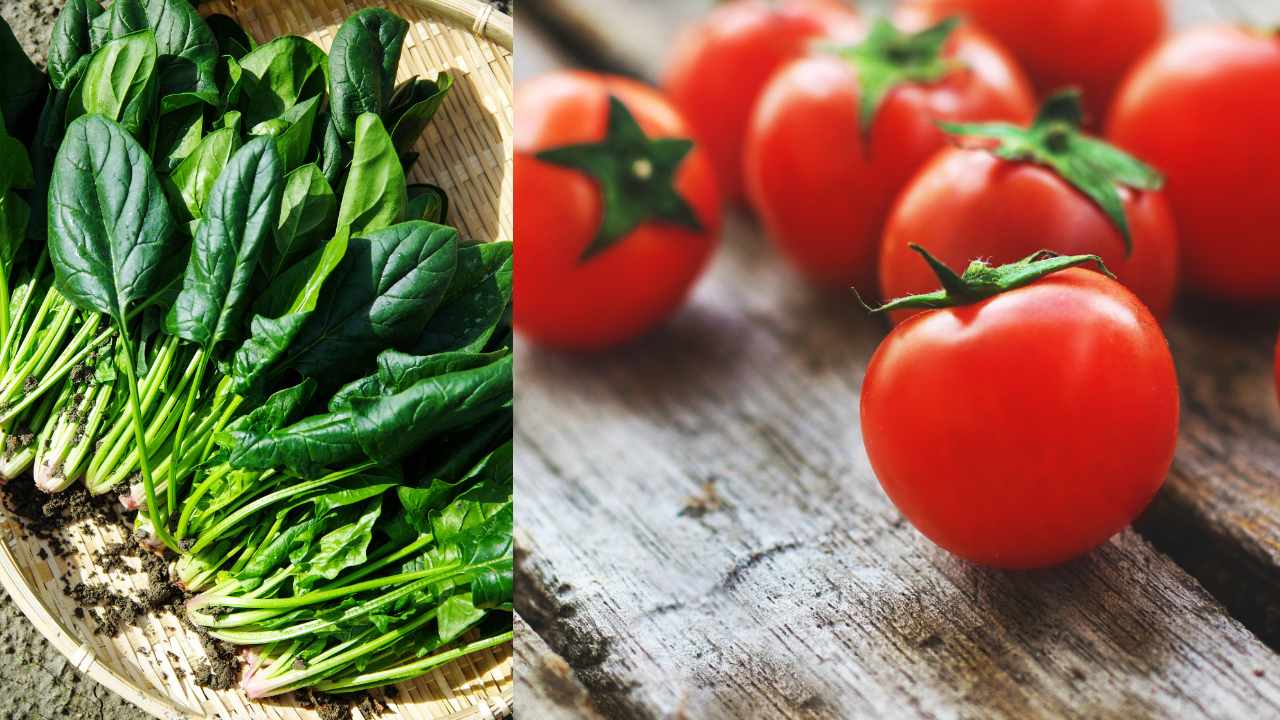 Health | టమాట, పాలకూర కలిపి తింటే ఇంత లాభం ఉంటుందా?